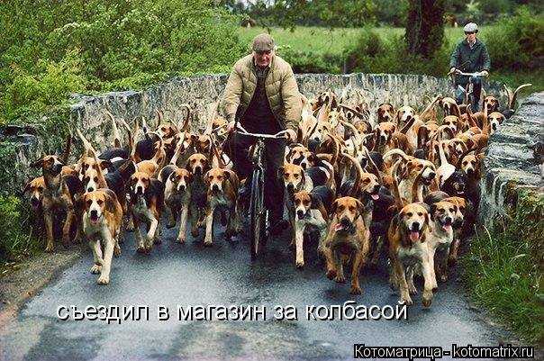съездил в магазин за колбасой... Котоматрица: съездил в магазин за колбасой