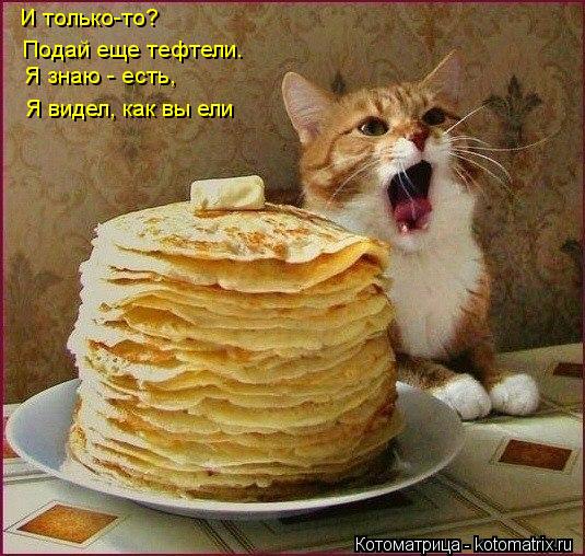 И только-то? Подай еще тефтели. Я знаю - есть, Я видел, как вы ели... Котоматрица: И только-то? Подай еще тефтели. Я знаю - есть, Я видел, как вы ели