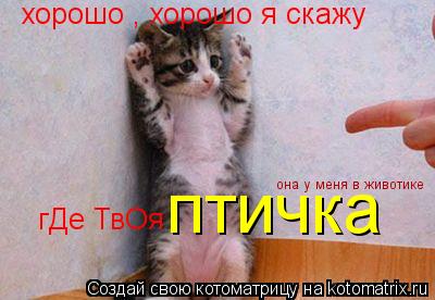 хорошо , хорошо я скажу гДе ТвОя птичка она у меня в животике... Котоматрица: хорошо , хорошо я скажу гДе ТвОя птичка она у меня в животике