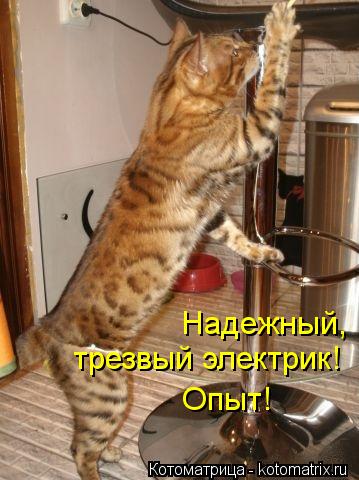 Надежный, трезвый электрик! Опыт!... Котоматрица: Надежный, трезвый электрик! Опыт!