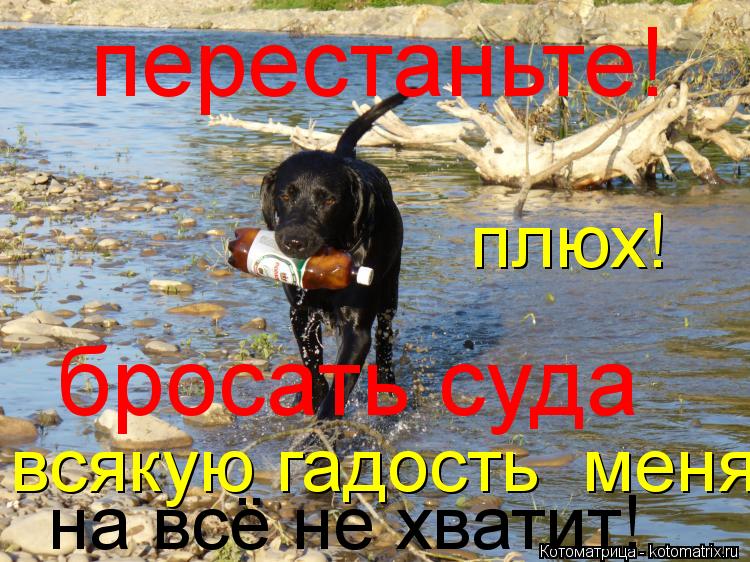 перестаньте! бросать суда всякую гадость меня на всё не хватит! плюх!... Котоматрица: перестаньте! бросать суда всякую гадость меня на всё не хватит! плюх!