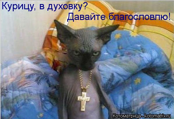 Курицу, в духовку? Давайте благословлю!... Котоматрица: Курицу, в духовку? Давайте благословлю!