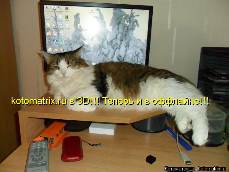 kotomatrix.ru в 3D!!! Теперь и в оффлайне!!!... Котоматрица: kotomatrix.ru в 3D!!! Теперь и в оффлайне!!!