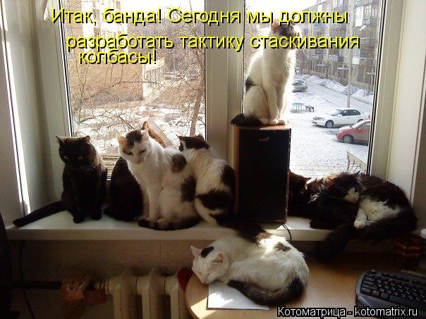 Итак, банда! Сегодня мы должны разработать тактику стаскивания колбасы!... Котоматрица: Итак, банда! Сегодня мы должны разработать тактику стаскивания колбасы!