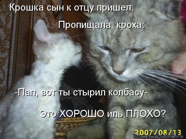 Крошка сын к отцу пришел. Пропищала кроха: -Пап, вот ты стырил колбасу- Это ХОРОШО иль ПЛОХО?... Котоматрица: Крошка сын к отцу пришел. Пропищала кроха: -Пап, вот ты стырил колбасу- Это ХОРОШО иль ПЛОХО?