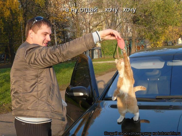 а ну отдай ...хочу...хочу... Котоматрица: а ну отдай ...хочу...хочу