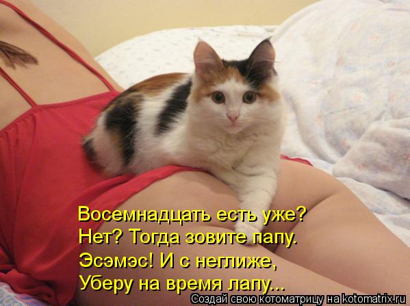 Восемнадцать есть уже? Нет? Тогда зовите папу. Уберу на время лапу... Эсэмэс! И с неглиже,... Котоматрица: Восемнадцать есть уже? Нет? Тогда зовите папу. Уберу на время лапу... Эсэмэс! И с неглиже,