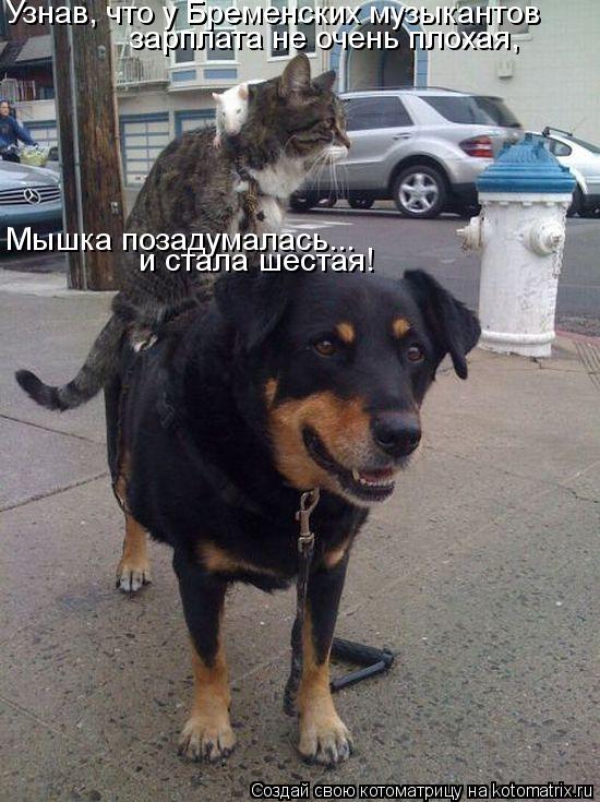 Узнав, что у Бременских музыкантов зарплата не очень плохая, Мышка позадумалась... и стала шестая!... Котоматрица: Узнав, что у Бременских музыкантов зарплата не очень плохая, Мышка позадумалась... и стала шестая!
