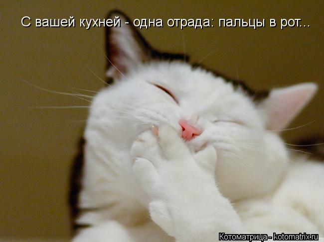 С вашей кухней - одна отрада: пальцы в рот...... Котоматрица: С вашей кухней - одна отрада: пальцы в рот...