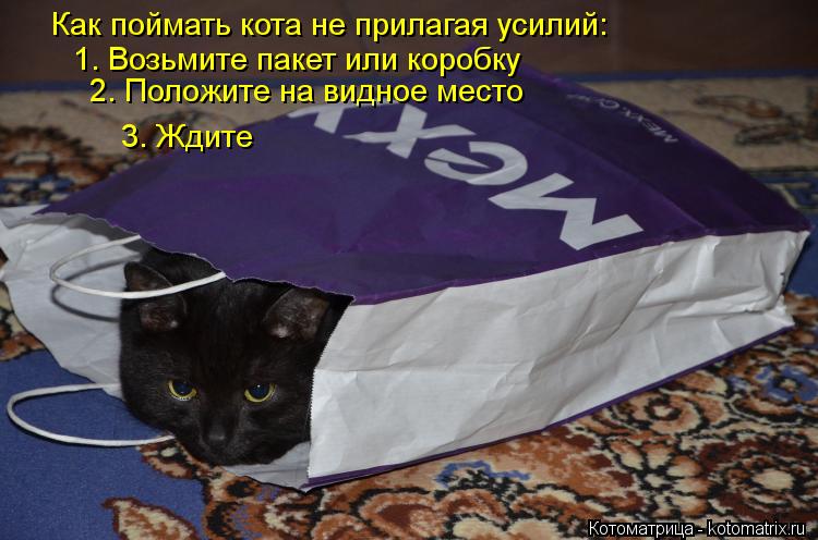 Как поймать кота не прилагая усилий: 1. Возьмите пакет или коробку 2. Положите на видное место 3. Жди... Котоматрица: Как поймать кота не прилагая усилий: 1. Возьмите пакет или коробку 2. Положите на видное место 3. Ждите