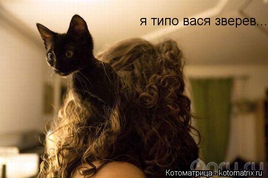 я типо вася зверев...... Котоматрица: я типо вася зверев...