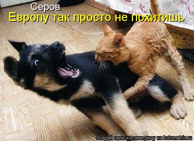 Серов Европу так просто не похитишь... Котоматрица: Серов Европу так просто не похитишь