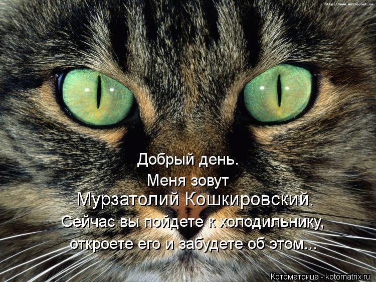 Добрый день. Меня зовут Мурзатолий Кошкировский. Сейчас вы пойдете к холодильнику, откроете его и заб... Котоматрица: Добрый день. Меня зовут Мурзатолий Кошкировский. Сейчас вы пойдете к холодильнику, откроете его и забудете об этом...