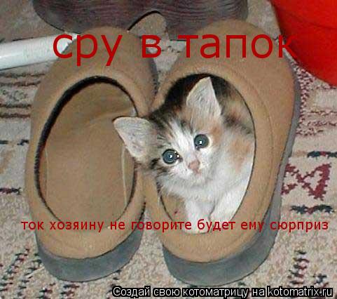 сру в тапок ток хозяину не говорите будет ему сюрприз... Котоматрица: сру в тапок ток хозяину не говорите будет ему сюрприз
