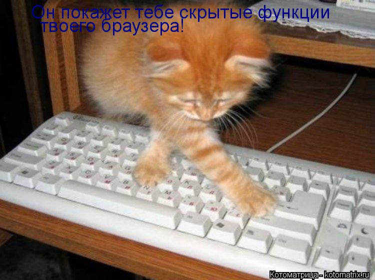 Он покажет тебе скрытые функции твоего браузера!... Котоматрица: Он покажет тебе скрытые функции твоего браузера!