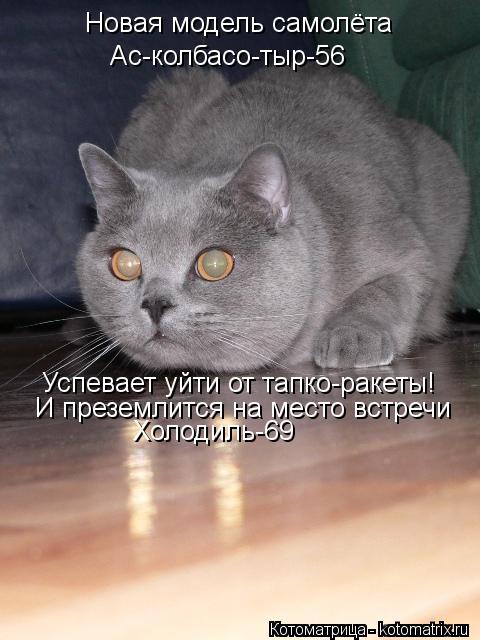 Новая модель самолёта Ас-колбасо-тыр-56 Успевает уйти от тапко-ракеты! И преземлится на место встречи... Котоматрица: Новая модель самолёта Ас-колбасо-тыр-56 Успевает уйти от тапко-ракеты! И преземлится на место встречи Холодиль-69