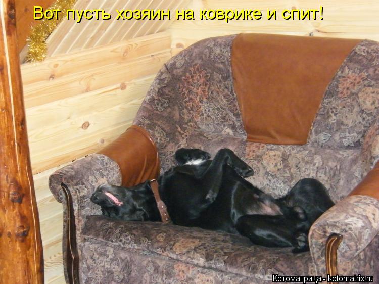 Вот пусть хозяин на коврике и спит!... Котоматрица: Вот пусть хозяин на коврике и спит!