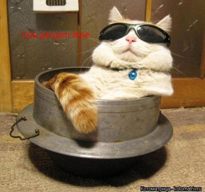 Opa gangam style..... Котоматрица: Opa gangam style..