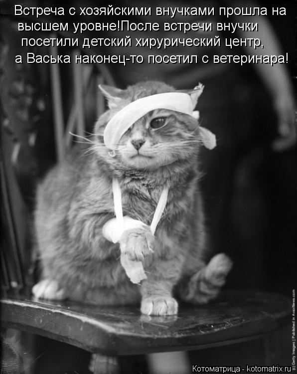 Встреча с хозяйскими внучками прошла на высшем уровне!После встречи внучки посетили детский хируриче... Котоматрица: Встреча с хозяйскими внучками прошла на высшем уровне!После встречи внучки посетили детский хирурический центр, а Васька наконец-то посет