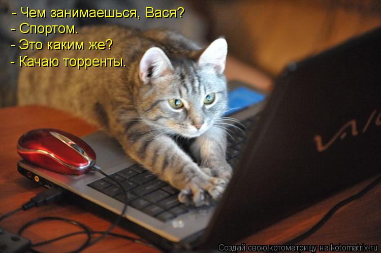 - Чем занимаешься, Вася? - Спортом. - Это каким же? - Качаю торренты.... Котоматрица: - Чем занимаешься, Вася? - Спортом. - Это каким же? - Качаю торренты.
