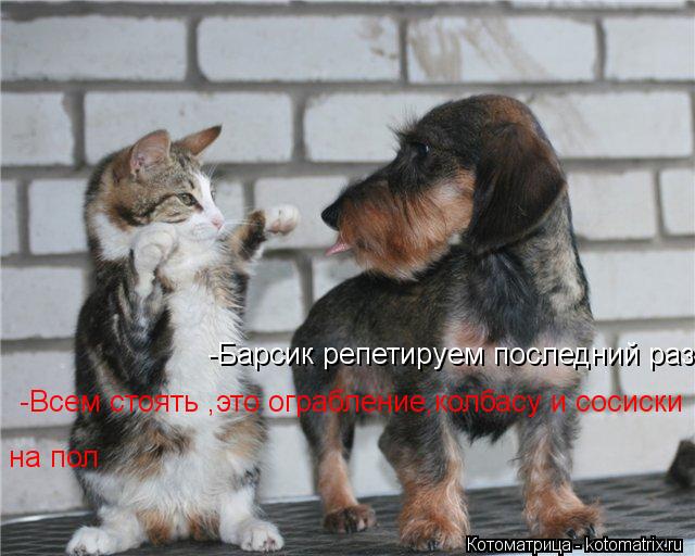 -Барсик репетируем последний раз -Всем стоять ,это ограбление,колбасу и сосиски на пол... Котоматрица: -Барсик репетируем последний раз -Всем стоять ,это ограбление,колбасу и сосиски на пол