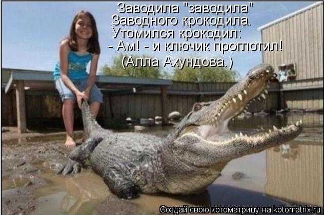 Заводила "заводила" Заводного крокодила. Утомился крокодил: - Ам! - и ключик проглотил! (Алла Ахундов... Котоматрица: Заводила "заводила" Заводного крокодила. Утомился крокодил: - Ам! - и ключик проглотил! (Алла Ахундова.)