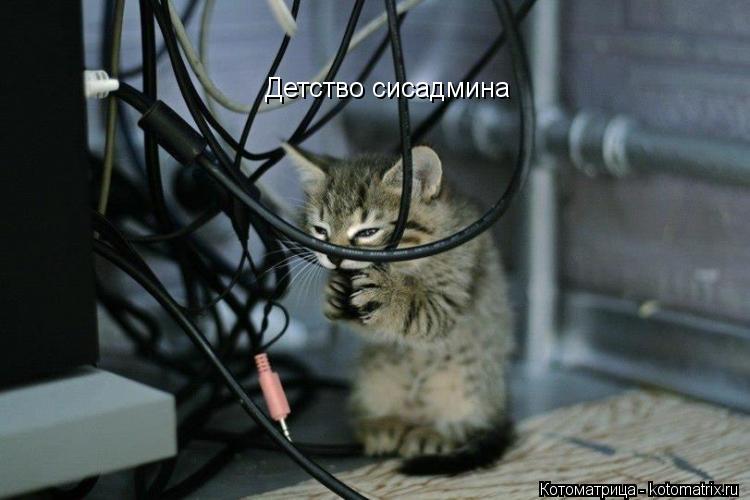 Детство сисадмина... Котоматрица: Детство сисадмина