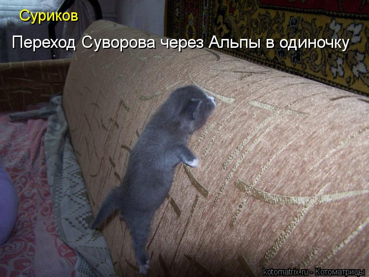 Переход Суворова через Альпы в одиночку Суриков... Котоматрица: Переход Суворова через Альпы в одиночку Суриков