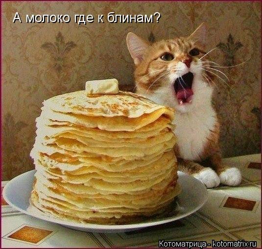 А молоко где к блинам?... Котоматрица: А молоко где к блинам?