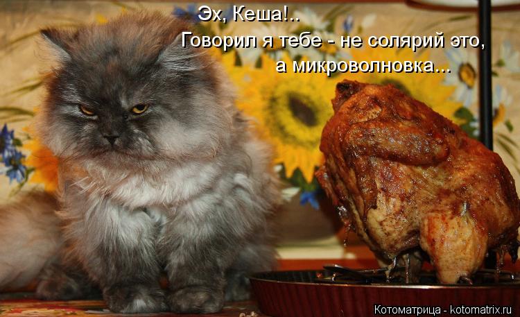 Эх, Кеша!.. Говорил я тебе - не солярий это, а микроволновка...... Котоматрица: Эх, Кеша!.. Говорил я тебе - не солярий это, а микроволновка...