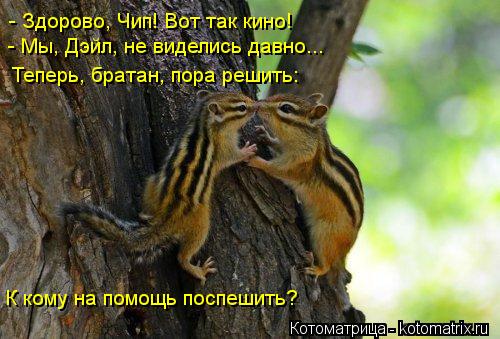 - Здорово, Чип! Вот так кино! - Мы, Дэйл, не виделись давно... Теперь, братан, пора решить: К кому н... Котоматрица: - Здорово, Чип! Вот так кино! - Мы, Дэйл, не виделись давно... Теперь, братан, пора решить: К кому на помощь поспешить?