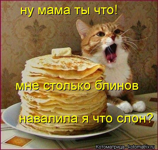 ну мама ты что! мне столько блинов навалила я что слон?... Котоматрица: ну мама ты что! мне столько блинов навалила я что слон?