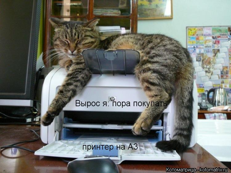 Вырос я: пора покупать принтер на А3... Котоматрица: Вырос я: пора покупать принтер на А3