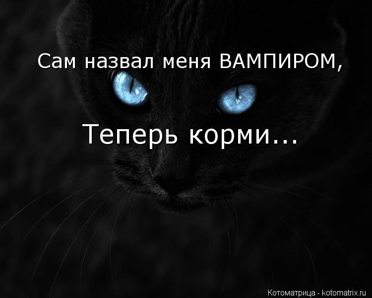 Сам назвал меня ВАМПИРОМ, Теперь корми...... Котоматрица: Сам назвал меня ВАМПИРОМ, Теперь корми...