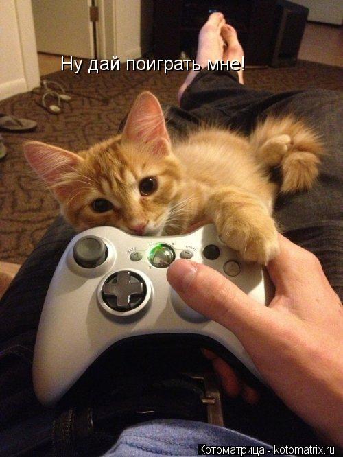Ну дай поиграть мне!... Котоматрица: Ну дай поиграть мне!