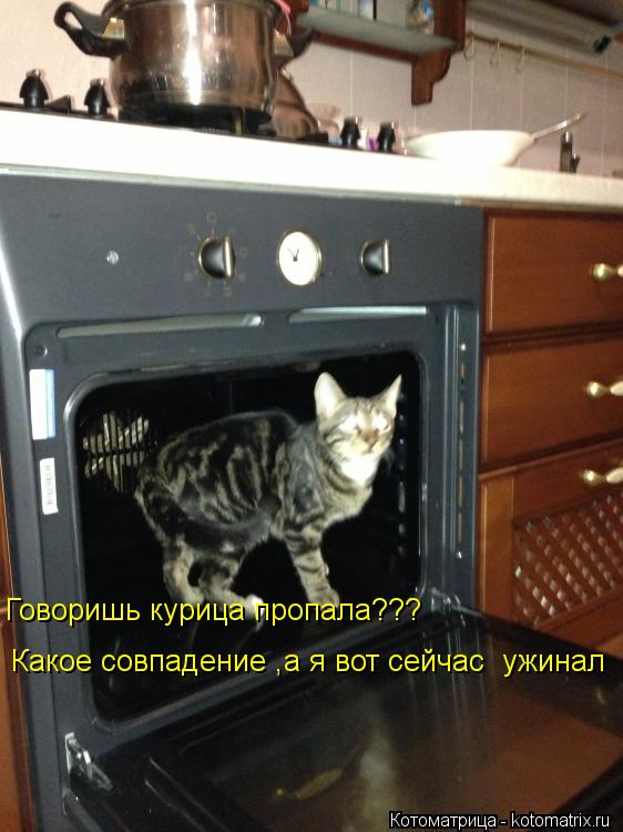 Говоришь курица пропала??? Какое совпадение ,а я вот сейчас ужинал... Котоматрица: Говоришь курица пропала??? Какое совпадение ,а я вот сейчас ужинал