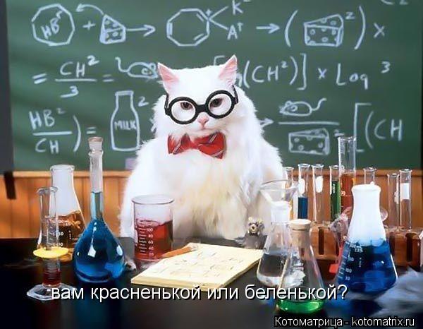 вам красненькой или беленькой?... Котоматрица: вам красненькой или беленькой?