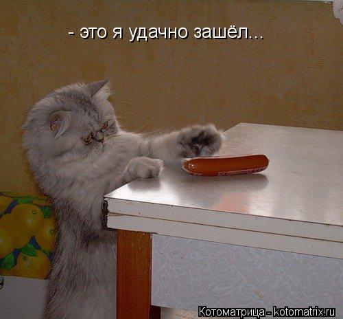 - это я удачно зашёл...... Котоматрица: - это я удачно зашёл...