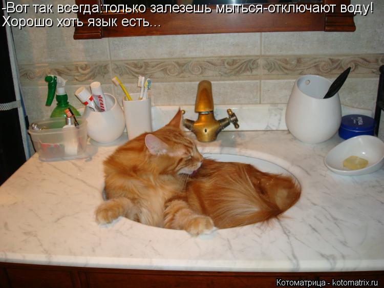 -Вот так всегда:только залезешь мыться-отключают воду! Хорошо хоть язык есть...... Котоматрица: -Вот так всегда:только залезешь мыться-отключают воду! Хорошо хоть язык есть...