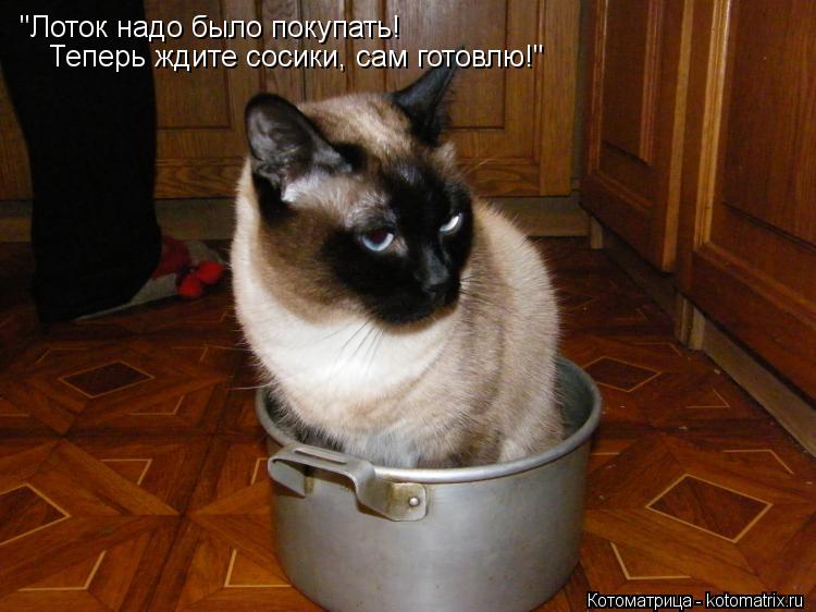 "Лоток надо было покупать! Теперь ждите сосики, сам готовлю!"... Котоматрица: "Лоток надо было покупать! Теперь ждите сосики, сам готовлю!"