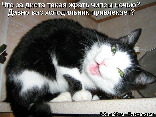 Что за диета такая жрать чипсы ночью? Давно вас холодильник привлекает?... Котоматрица: Что за диета такая жрать чипсы ночью? Давно вас холодильник привлекает?