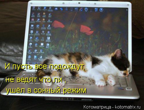 И пусть все подождут, не ведят что ли , ушёл в сонный режим... Котоматрица: И пусть все подождут, не ведят что ли , ушёл в сонный режим