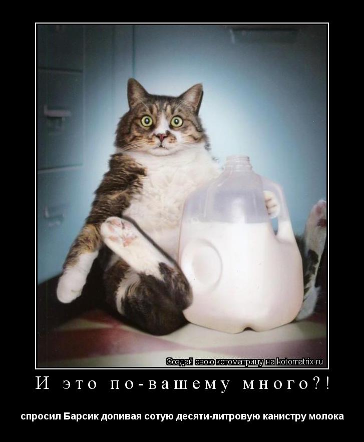 И это по-вашему много?! спросил Барсик допивая сотую десяти-литровую канистру молока... Котоматрица: И это по-вашему много?! спросил Барсик допивая сотую десяти-литровую канистру молока