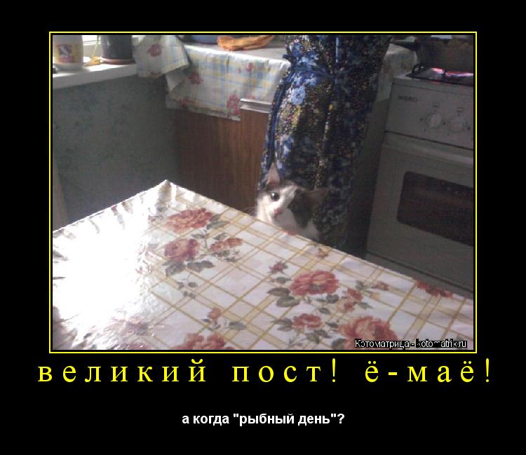 Котоматрица: великий пост! ё-маё! а когда "рыбный день"?