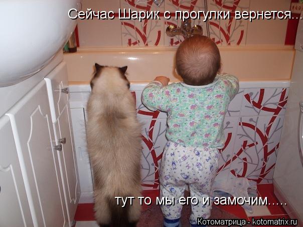 Сейчас Шарик с прогулки вернется... тут то мы его и замочим........ Котоматрица: Сейчас Шарик с прогулки вернется... тут то мы его и замочим.....