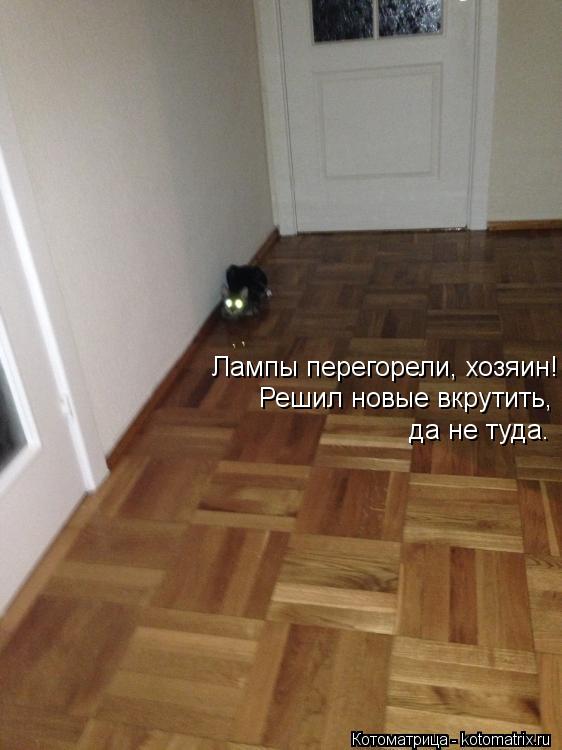 Лампы перегорели, хозяин! Решил новые вкрутить, да не туда.... Котоматрица: Лампы перегорели, хозяин! Решил новые вкрутить, да не туда.