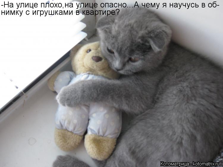 -На улице плохо,на улице опасно...А чему я научусь в об- нимку с игрушками в квартире?... Котоматрица: -На улице плохо,на улице опасно...А чему я научусь в об- нимку с игрушками в квартире?