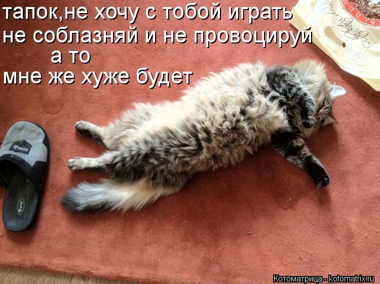 Котоматрица: тапок,не хочу с тобой играть не соблазняй и не провоцируй а то  мне же хуже будет
