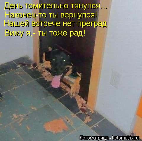 День томительно тянулся... Наконец-то ты вернулся! Нашей встрече нет преград Вижу я,- ты тоже рад!... Котоматрица: День томительно тянулся... Наконец-то ты вернулся! Нашей встрече нет преград Вижу я,- ты тоже рад!