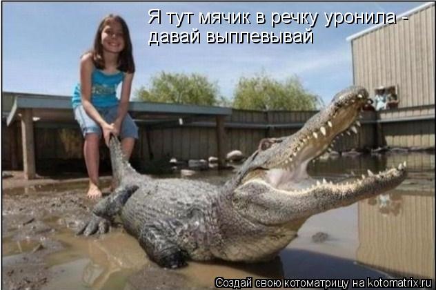 Я тут мячик в речку уронила - давай выплевывай... Котоматрица: Я тут мячик в речку уронила - давай выплевывай